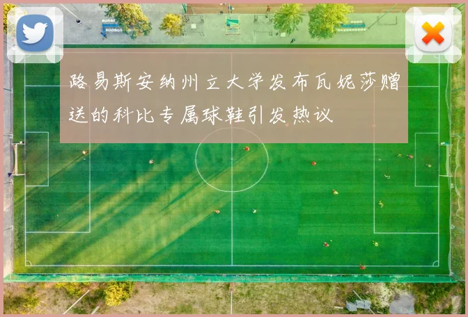路易斯安纳州立大学发布瓦妮莎赠送的科比专属球鞋引发热议