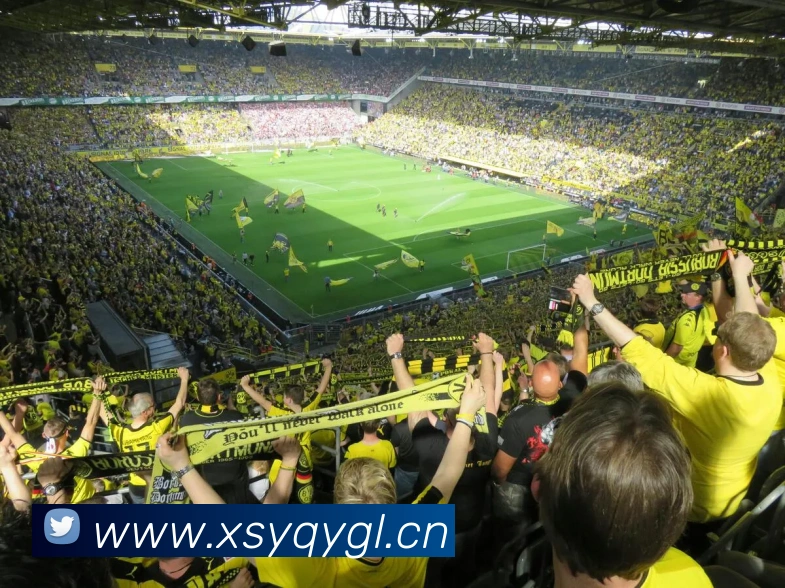 天博b综合体育品牌故事