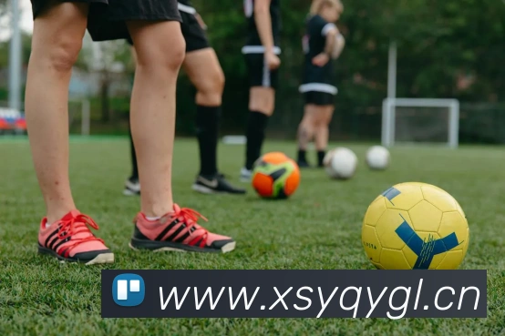 天博b综合体育服务体系