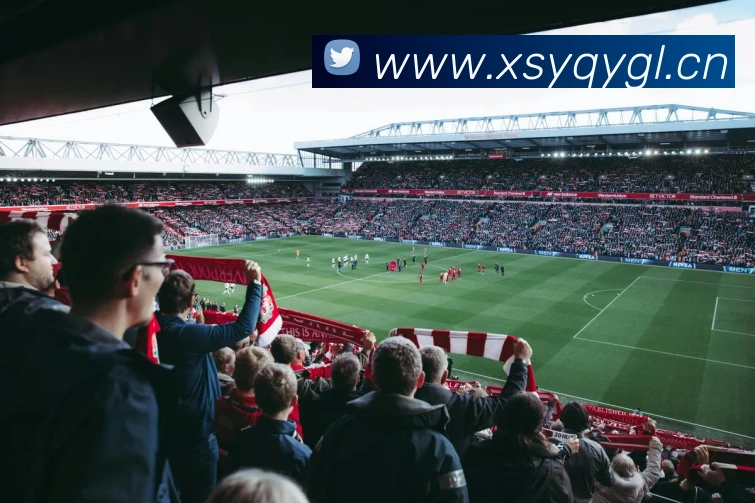 多媒体互动体验