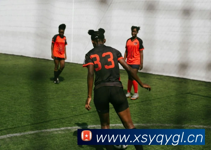 多媒体互动体验